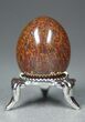 Agatized Dinosaur Bone Egg - Stunning! #4275-2